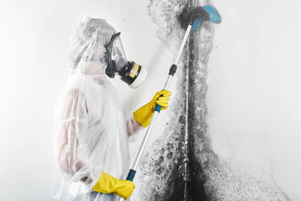 Best Mold Remediation for Healthcare Facilities  in West Perrine, FL