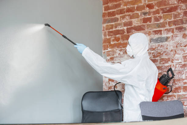 Best Mold Odor Removal Services  in West Perrine, FL