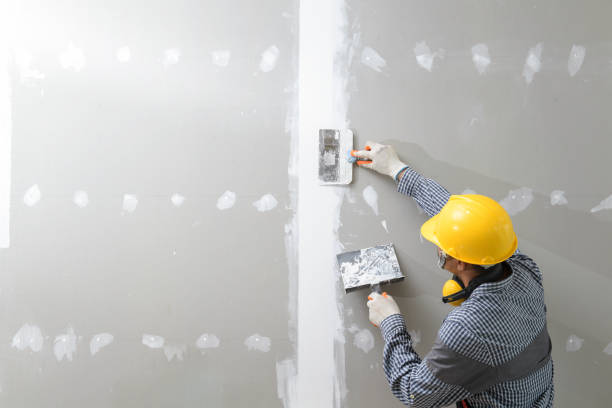Best Mold-Related Health Consultation  in West Perrine, FL
